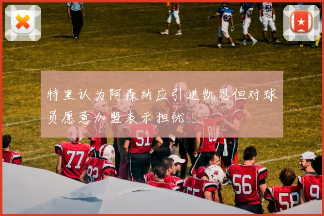 特里认为阿森纳应引进凯恩但对球员愿意加盟表示担忧