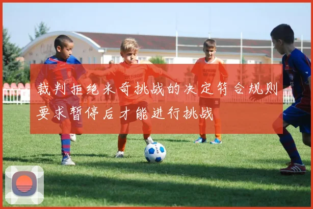 裁判拒绝米奇挑战的决定符合规则要求暂停后才能进行挑战