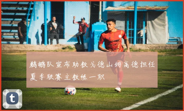 鹈鹕队宣布助教戈德山姆高德担任夏季联赛主教练一职